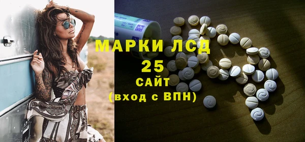 индика Алзамай