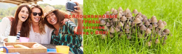 прущая мука Алексин