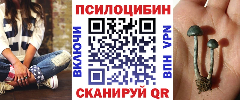 Купить где  Пенза  Псилоцибиновые грибы Psilocybine cubensis 